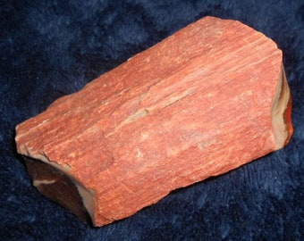 Fossil PETRIFIED WOOD LOG ou Limb Cast from Oregon * 88 mm X 50 * 5,3 onces ou 151 grammes * Aide à éliminer les soucis