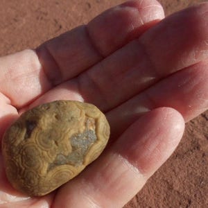 Seltener GOBI WÜSTENACHAT*Mongolei*32 mm X 22 X 18*21.6 gram*.76 oz