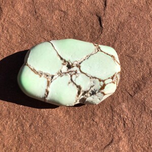 May include: A light green, oval-shaped stone with dark brown veining. The stone has a smooth, polished surface and is set against a reddish-brown background. The stone's color is a soft, pastel green.