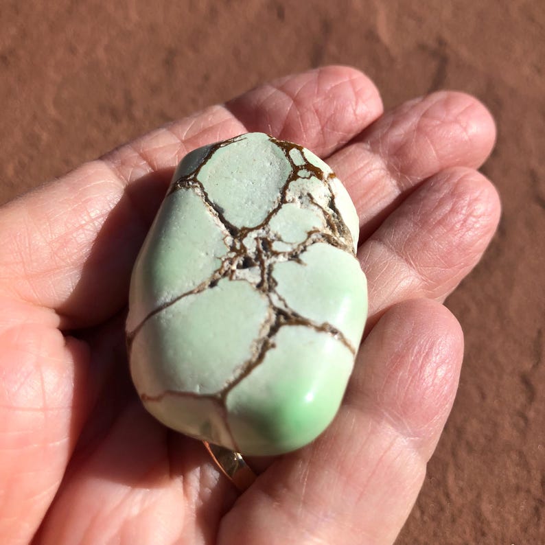 May include: A polished, light green stone with brown veining. The stone has a smooth, rounded shape and is held in a hand. The stone's surface is a pale green color with darker brown lines running across it.
