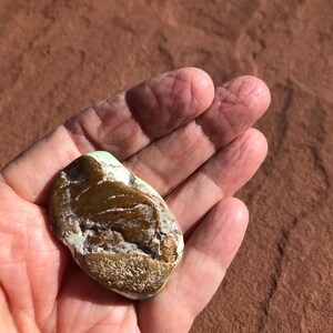 May include: A smooth, naturally shaped stone with a mix of colors. The stone has a light green area, a brown central section, and white and tan edges. The stone is held in an open hand, showcasing its natural texture and unique color variations.