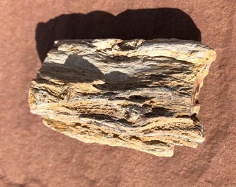 Fossil PETRIFIED WOOD LOG*Madagascar*Triassic 220 Million Years Old*Polished on one end*2 1/4 inch x 1 1/2 inch*3.07 ounces*For Past Lives