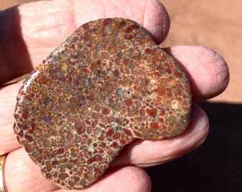 Fossil Gem DINOSAUR BONE CABOCHON*Red, Yellow & Gray Jasper*63 carats*12.6 grams*41 mm x 33 x 4 mm*Jurassic Age*155 to 145 Million years old