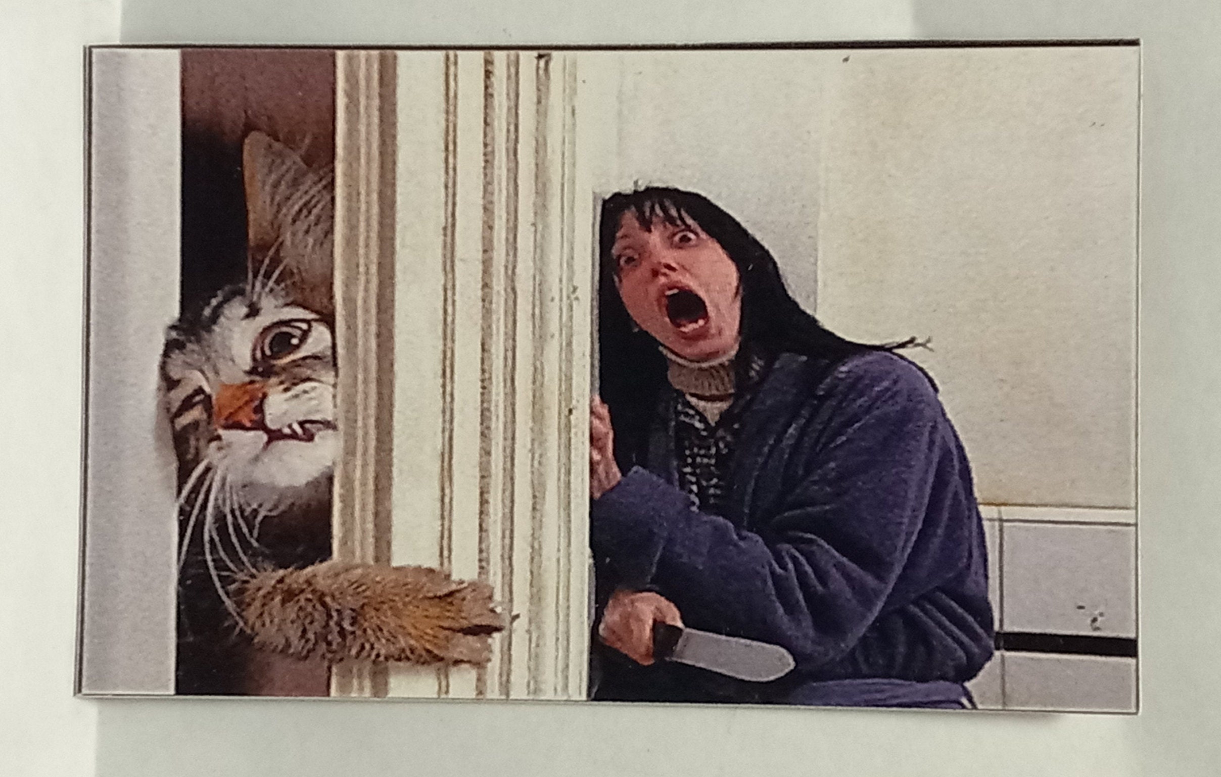 Pop Cultural Image Magnet #26 - Shining Cat & Wendy - Etsy