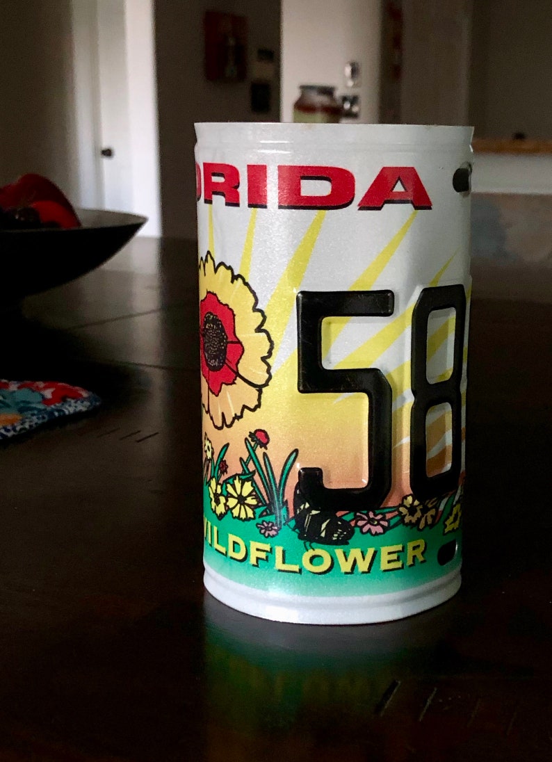 Florida State Wildflower License Plate Can Flower Child Can Etsy