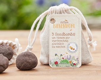 Seedbombs „Bienenwohl“ I 3 handgemachte Samenbomben mit bienenfreundlichem Saatgut I 100% ökologisch & mindestens 2 Jahre haltbar