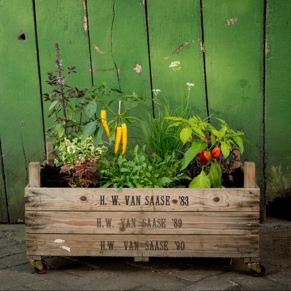 Elevated Planter | Handmade & unique upcycling raised garden bed | Vintage / rustic, 75 x 51 x 37,5 centimetres in size