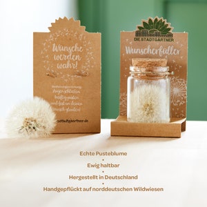 May include: A small glass jar with a cork lid contains a dried dandelion. The jar is on a brown cardboard base with the text "Wunscherf&uuml;ller" and "DIE STADTG&Auml;RTNER". The text "Echte Pusteblume" is below the jar, along with the text "Ewig haltbar", "Hergestellt in Deutschland", and "Handgepfl&uuml;ckt auf norddeutschen Wildwiesen".