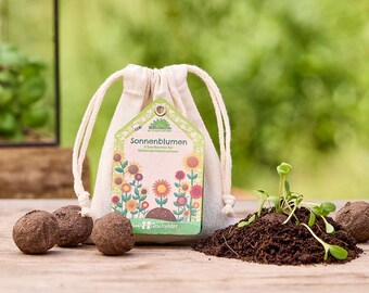 Bommetjes met zonnebloempitten - zonnebloempitten | Cadeau-idee voor de lente en zomer