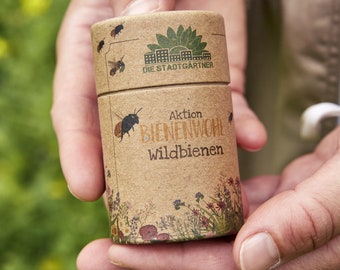 Bienenwohl-Saatgut "Wildbienenwiese" I Samenmischung für Bienen I Blumenmischung ausreichend für 30 m2 I Tolles Geschenk für den Garten