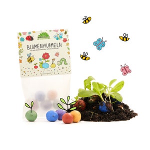 May include: A bag of colorful flower seed marbles with a label that says "Blumenmurmeln" for all flower children and nature lovers. The bag is next to a small potted plant with green leaves and soil.