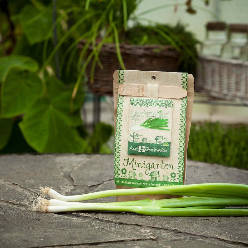 Mini Garden Spring Onion Complete growing kit for fresh bunching onions Sieved soil, organic seeds and detailed German instructions afbeelding 1