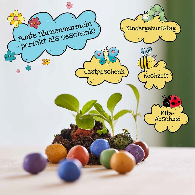 100 bunte Blumenmurmeln Mein Naturabenteuer handgerollte, farbenfrohe Samenbomben Perfekt zum Kindergeburtstag Geschenk für Kinder Bild 10