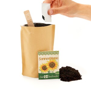 Mini Garden Sunflowers Complete growing kit for beautiful sunflowers Contains sieved soil, organic seeds and detailed instructions afbeelding 2