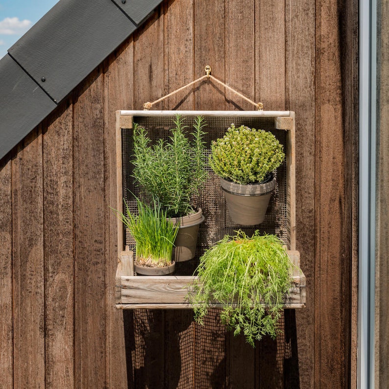 Rustikales Gartenregal aus Zwiebelsieb Schickes Vintageregal für drinnen & draußen Jedes Regal ein handgemachtes Unikat I Ideal für Wand Bild 6