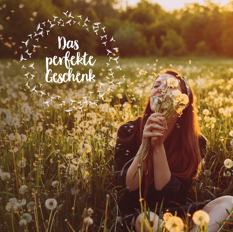 May include: A woman in a field of dandelions blows on a bouquet of dandelions. The text "Das perfekte Geschenk" is written in white on a circle of dandelions.