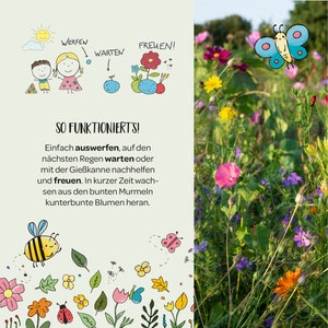 May include: A colorful illustration of a garden with flowers, butterflies, and a bee. The text "SO FUNKTIONIERT'S!" is written in black at the top of the image. The text below reads "Einfach auswerfen, auf den n&auml;chsten Regen warten oder mit der Gie&szlig;kanne nachhelfen und freuen. In kurzer Zeit wachsen aus den bunten Murmeln kunterbunte Blumen heran."