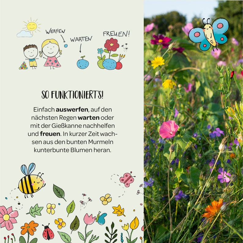 May include: A colorful illustration of a garden with flowers, butterflies, and a bee. The text "SO FUNKTIONIERT'S!" is written in black at the top of the image. The text below reads "Einfach auswerfen, auf den n&auml;chsten Regen warten oder mit der Gie&szlig;kanne nachhelfen und freuen. In kurzer Zeit wachsen aus den bunten Murmeln kunterbunte Blumen heran."