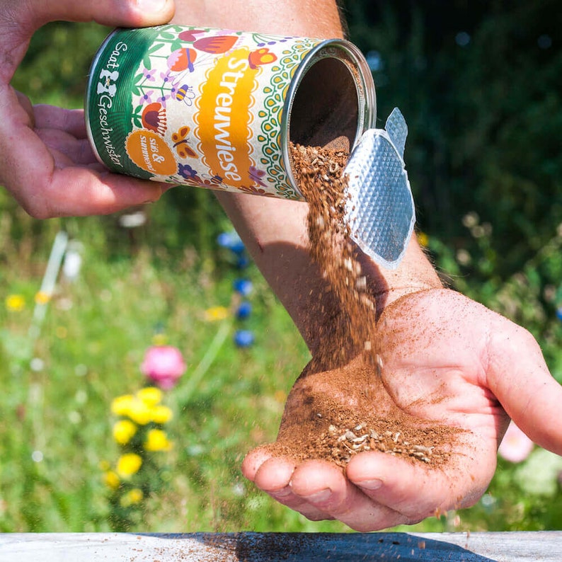 Streuwiesen von DieStadtgärtner® Bunte Blumenmischungen, Wildblumensamen Alle 3 Sorten zum Rabattpreis Bild 4