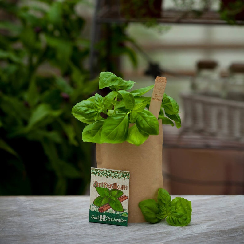 Mini Garden Cinnamon Basil Complete growing kit for this christmasy basil Sieved soil, organic seeds and detailed German instructions afbeelding 2