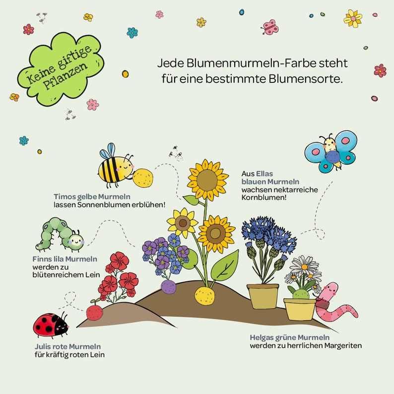 100 bunte Blumenmurmeln Mein Naturabenteuer handgerollte, farbenfrohe Samenbomben Perfekt zum Kindergeburtstag Geschenk für Kinder Bild 6