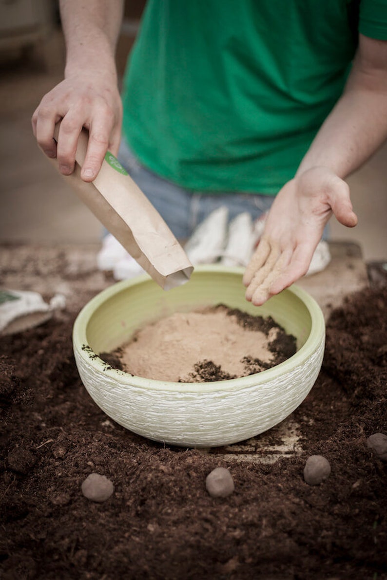 Seed Bombs Sunflowers Mindfully made flower bombs from the City Gardeners 8 seed balls in reusable cotton bag image 8