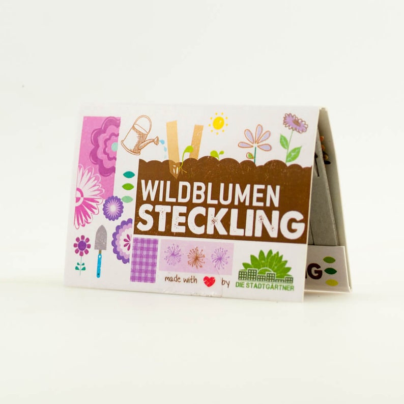 Steckling Wildblumen Der Blumenstrauß für die Hosentasche 10 Saatgut-Stifte zum Einpflanzen Im Handumdrehen Wildblumen pflanzen Bild 6