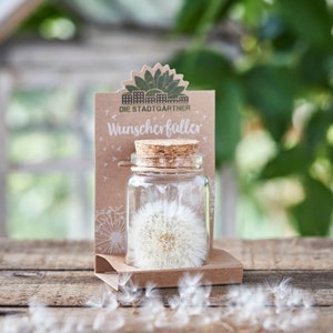 Wish fulfiller - Make a wish | Real dandelion in a glass | Beautiful gift for girlfriend