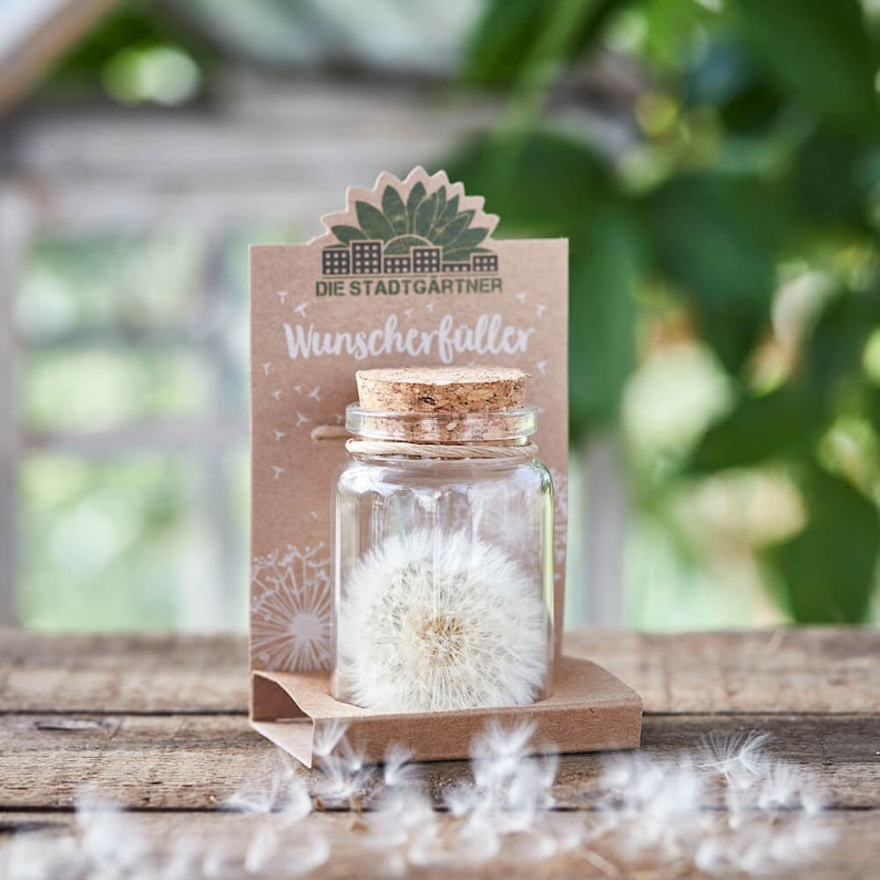 Wunscherf\u00fcller | Echte Pusteblume im Glas | Wundersch\u00f6nes Geschenk f\u00fcr Freundin