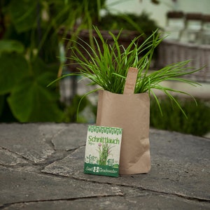 Mini Garden Chive Miro Complete growing kit for fresh wild chive Contains sieved soil, best seeds and detailed German instructions afbeelding 2