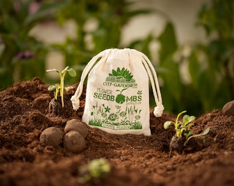Seed Bombs "Summer Meadow", 8 walnut sized & handmade seed balls