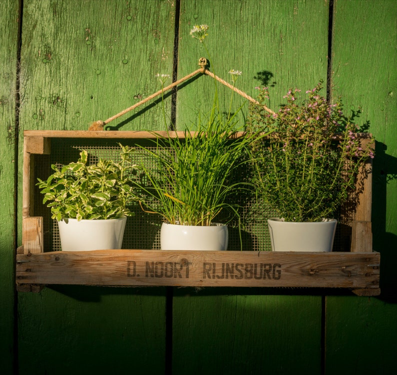 Gartenregal aus Zwiebelsieb Schickes Vintageregal für drinnen & draußen Jedes Regal ein handgemachtes Unikat I Ideal für die Wand Bild 1