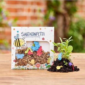 Saatkonfetti - Saatgutkonfetti - Geschenk für Kinder
