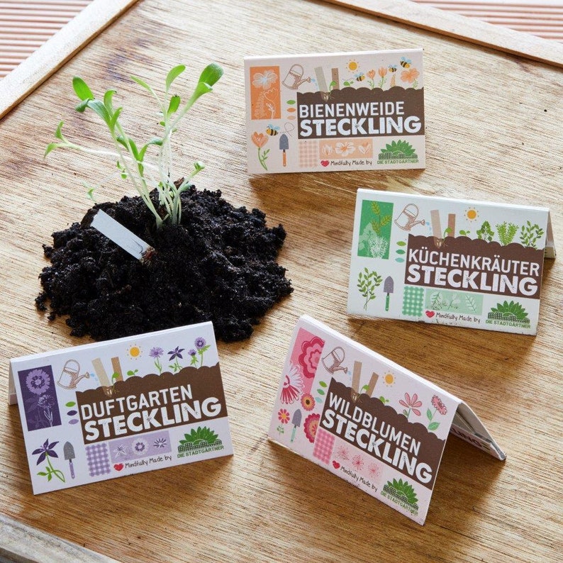 Seedling Set All 4 types of seedlings for a discount price 40 plantable cardboard sticks for your pots, balcony or garden afbeelding 1