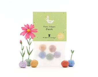 5 colorful flower marbles in a sachet with wildflower seeds | Sustainable gift as a hostess present, thank you gift & small token of appreciation