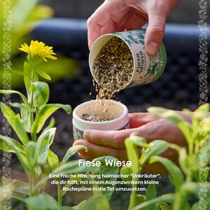 Puede incluir: Una persona vierte semillas de un recipiente cil&iacute;ndrico etiquetado "Fiese Wiese" en un recipiente m&aacute;s peque&ntilde;o. La imagen incluye una flor amarilla y plantas verdes. El texto en el recipiente dice "Fiese Wiese" y una descripci&oacute;n en alem&aacute;n.