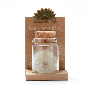 Pusteblume Im Glas - Wunscherfüller Deko | Geschenk Für Freundin & Romantische Deko