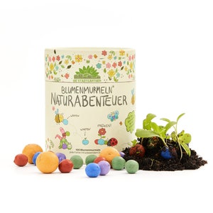 100 bunte Blumenmurmeln Mein Naturabenteuer handgerollte, farbenfrohe Samenbomben Perfekt zum Kindergeburtstag Geschenk für Kinder Bild 9