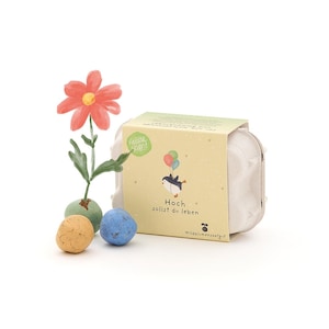 6 bunte Saatkugeln mit Wildblumen-Saatgut im Mini-Eierkarton | Geschenk zum Geburtstag oder Jubiläum l Wachsendes Geburtstagsgeschenk
