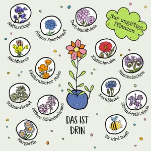 10x 5 flower marbles in a glassine bag, children's birthday party bags for the gift bag & guest gift, farewell gift for daycare/kindergarten image 5