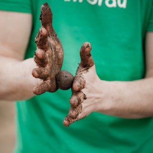 Seed Bombs Wild Herbs Mindfully made flower bombs from the City Gardeners 8 seed balls in reusable cotton bag image 6