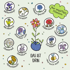 25 bunte Blumenmurmeln in Dose Mitgebsel Kindergeburtstag imagen 5