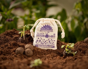 Samenbomben "Schmetterlingswiese" | 8 handgerollte Schmetterlingsblumen-Seedbombs | Samenkugeln von "Die Stadtgärtner"