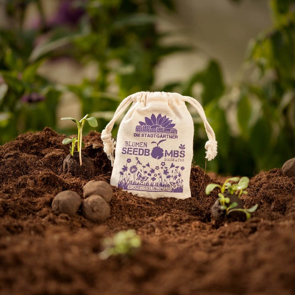 Samenbomben "Schmetterlingswiese" | 8 handgerollte Schmetterlingsblumen-Seedbombs | Samenkugeln von "Die Stadtgärtner"