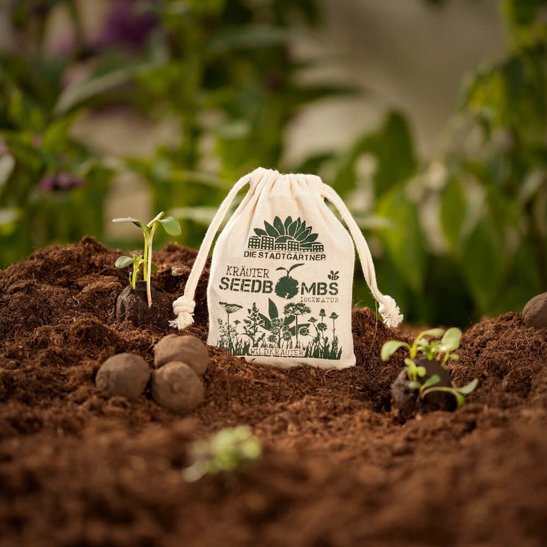 Seed Bombs Wild Herbs Mindfully made flower bombs from the City Gardeners 8 seed balls in reusable cotton bag image 1