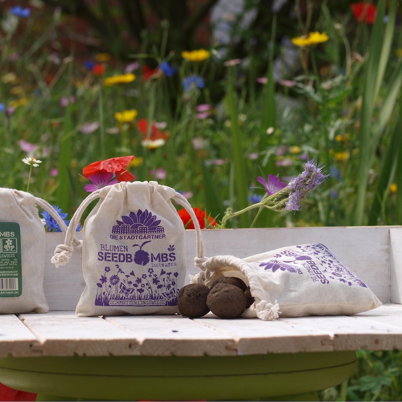 Seed Bombs Bundle/Set All 8 varieties of our flower bombs at Etsy