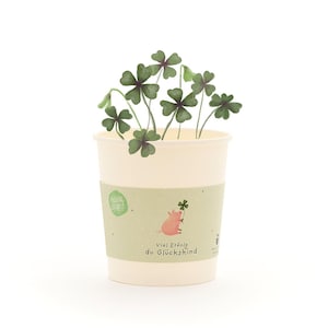 Glücksklee-Anzuchtset als Glücksgeschenk | Nachhaltige Geschenkidee für Prüfungen, Neuanfänge & Geburtstage
