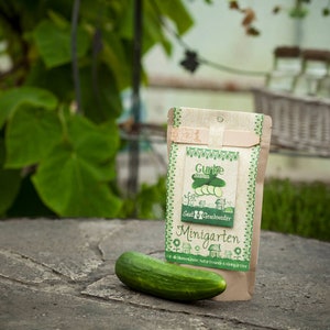 Mini Garden Cucumber | Complete growing kit for fresh pickles | Contains sieved soil, organic seeds and detailed (German) instructions