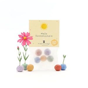 5 biglie di fiori colorati in un sacchetto con semi di fiori selvatici | Regalo per gli amici, per tirarti su il morale, come ringraziamento e come saluto solare