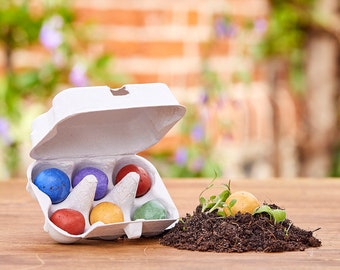 6 Blumenmurmeln in einer Pappschachtel - Ostergeschenk für Kinder - Geschenk zu Ostern